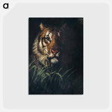 アートポストカード-Tiger's Head - アボット ハンダーソン セイヤー Postcard.