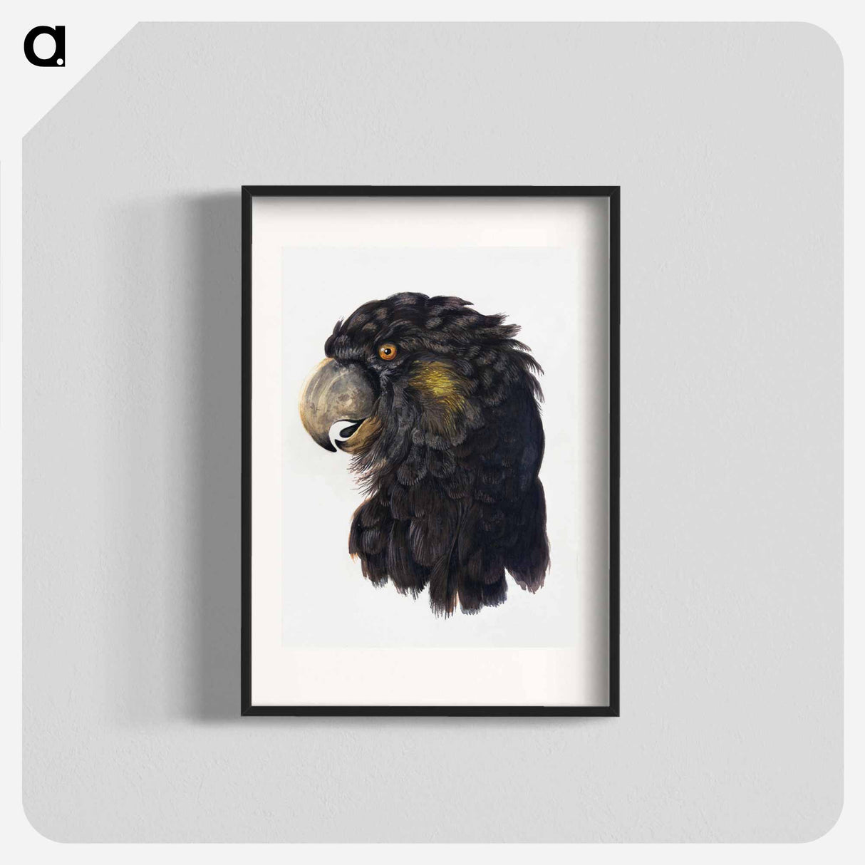 Head of a Cockatoo - アールト シューマン Poster.