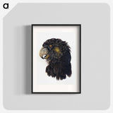 Head of a Cockatoo - アールト シューマン Poster.