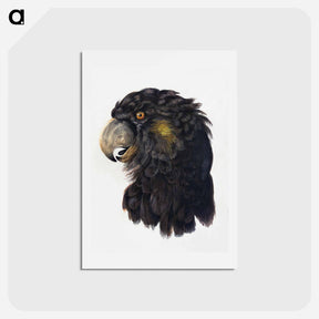 アートポストカード-Head of a Cockatoo - アールト シューマン Postcard.