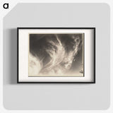 1-1_Alfred-Stieglitz_blk