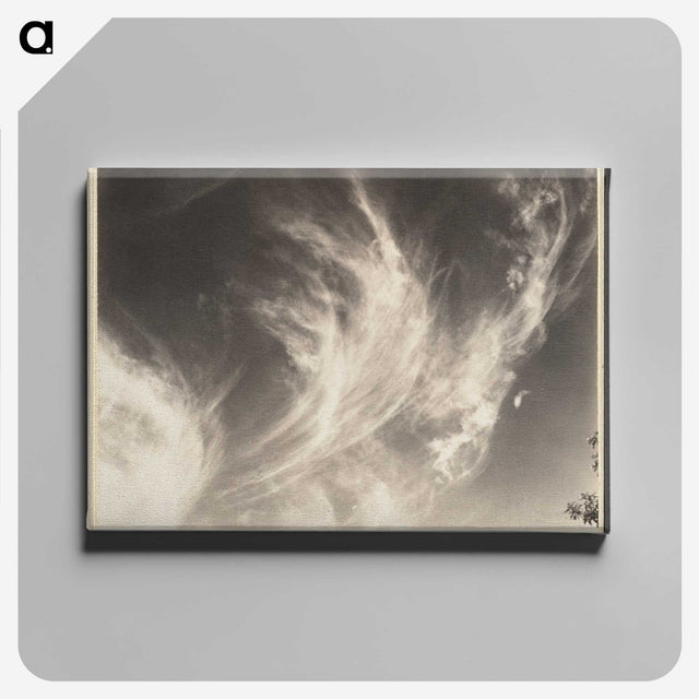 1-1_Alfred-Stieglitz_canvas
