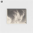 1-1_Alfred-Stieglitz_memo