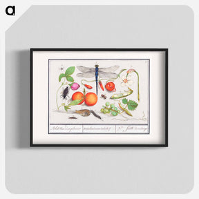 アートポスター-Natural History Ensemble, no. 7 - アンセルムス ボエティウス デ ブート Poster.