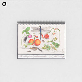 アートメモ帳-Natural History Ensemble, no. 7 - アンセルムス ボエティウス デ ブート Memo.