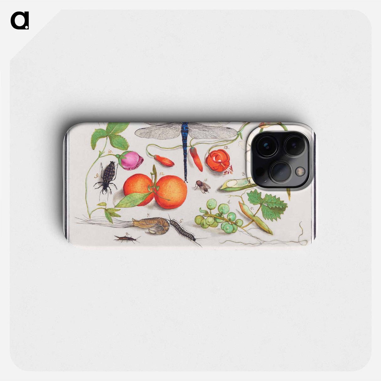 Natural History Ensemble, no. 7 - アンセルムス ボエティウス デ ブート Phone Case.
