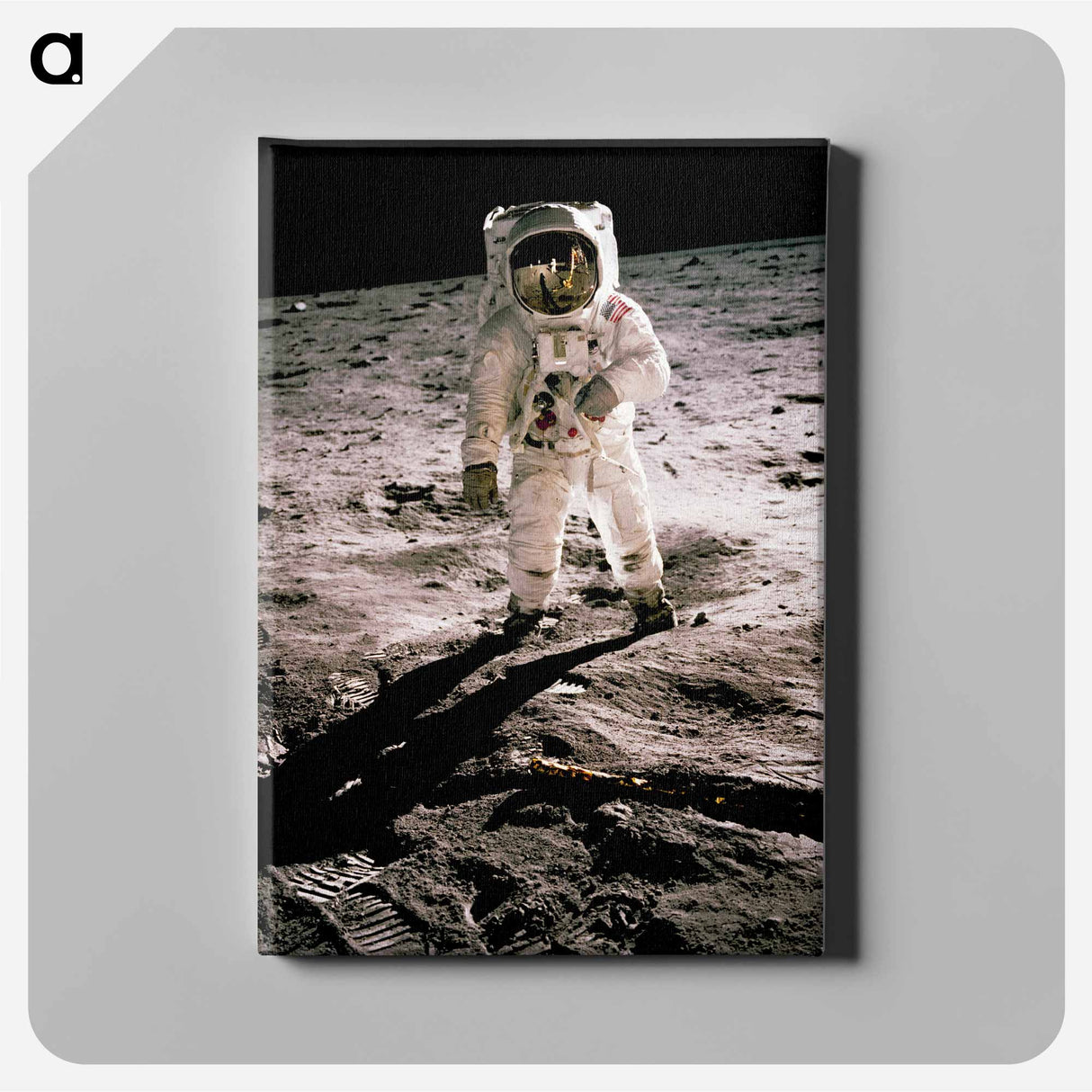 Edwin Aldrin walking on the lunar surface - Apollo Moon Landing Canvas.