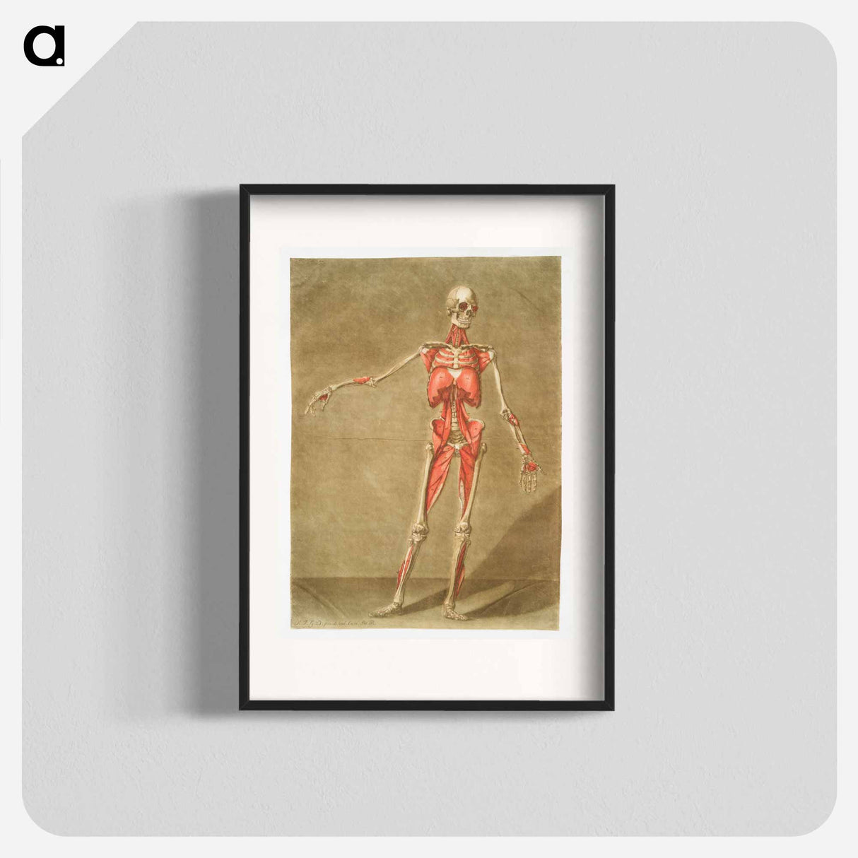 This fascinating collection of anatomical illustrations - アルノルド エロイ ゴーティエ ダゴティ Poster.