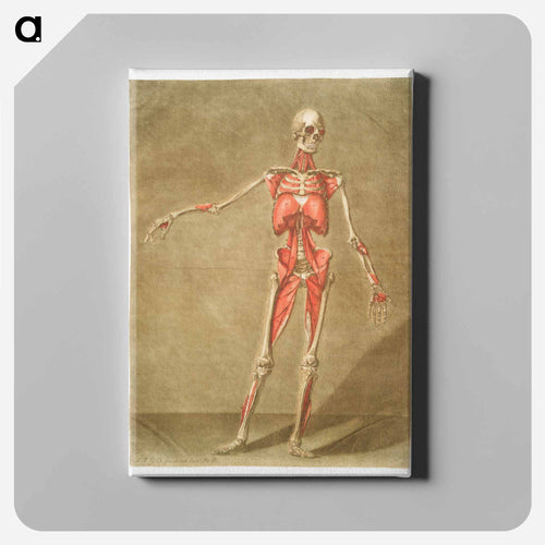 This fascinating collection of anatomical illustrations - アルノルド エロイ ゴーティエ ダゴティ Canvas.