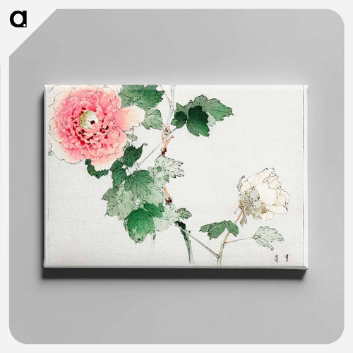 Tree Peony, Illustration from Bijutsu Sekai
 - 美術世界 Canvas.