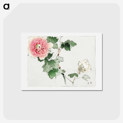 美術世界 牡丹図 - 美術世界 Postcard.