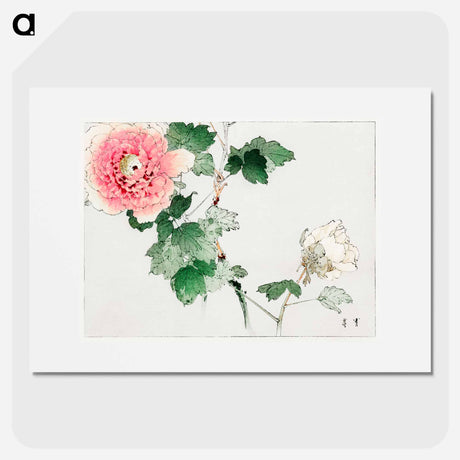 アートポスター-Tree Peony, Illustration from Bijutsu Sekai
 - 美術世界 Poster.