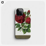 1-1_Botanical-Specimen-Plates_phone
