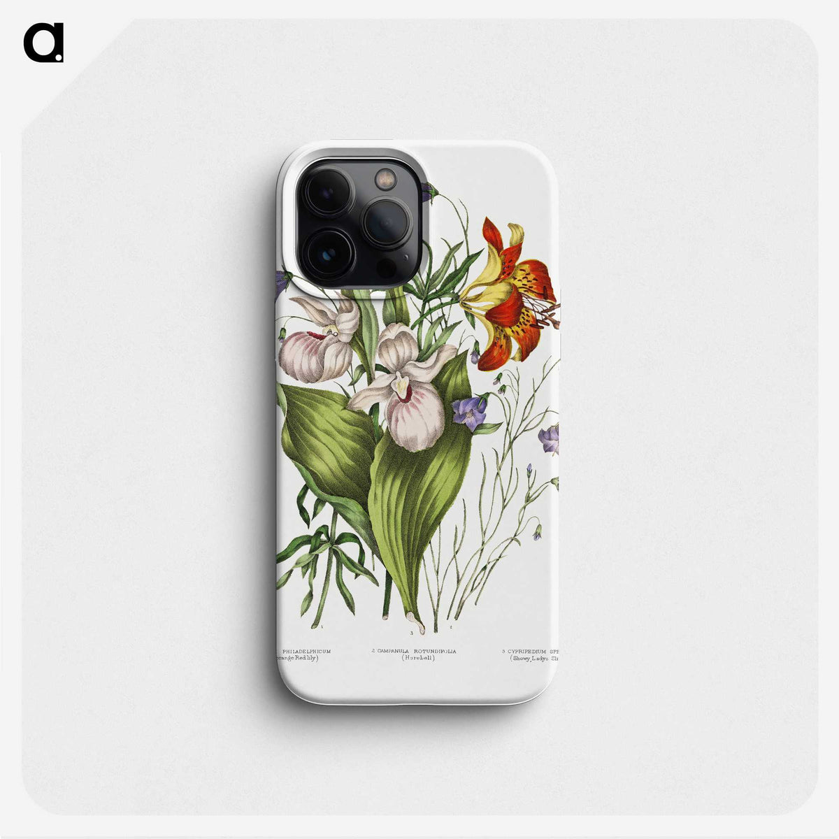 1-1_Canadian-Wild-Flowers_phone