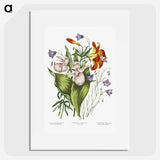 1-1_Canadian-Wild-Flowers_picture