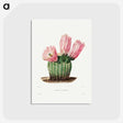 1-1_Charles-Antoine-Lemaire_postcard