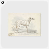 1-1_Charles-Hamilton-Smith_postcard