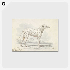 1-1_Charles-Hamilton-Smith_postcard