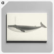 1-1_Charles-Melville-Scammon_canvas