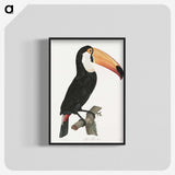 1-1_Des-Oiseaux-de-Paradis_blk-crop