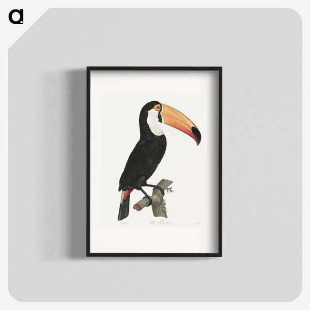 1-1_Des-Oiseaux-de-Paradis_blk