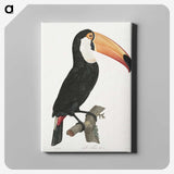 1-1_Des-Oiseaux-de-Paradis_canvas