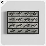 1-1_Eadweard-Muybridge_blk-crop