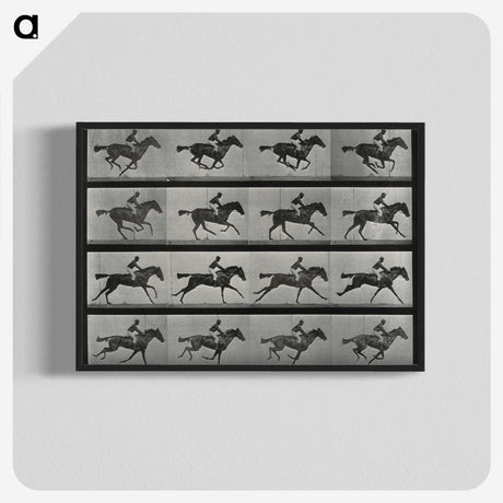 1-1_Eadweard-Muybridge_blk-crop