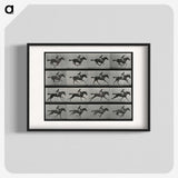1-1_Eadweard-Muybridge_blk