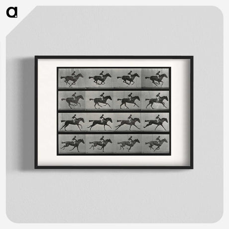 1-1_Eadweard-Muybridge_blk