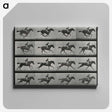1-1_Eadweard-Muybridge_canvas