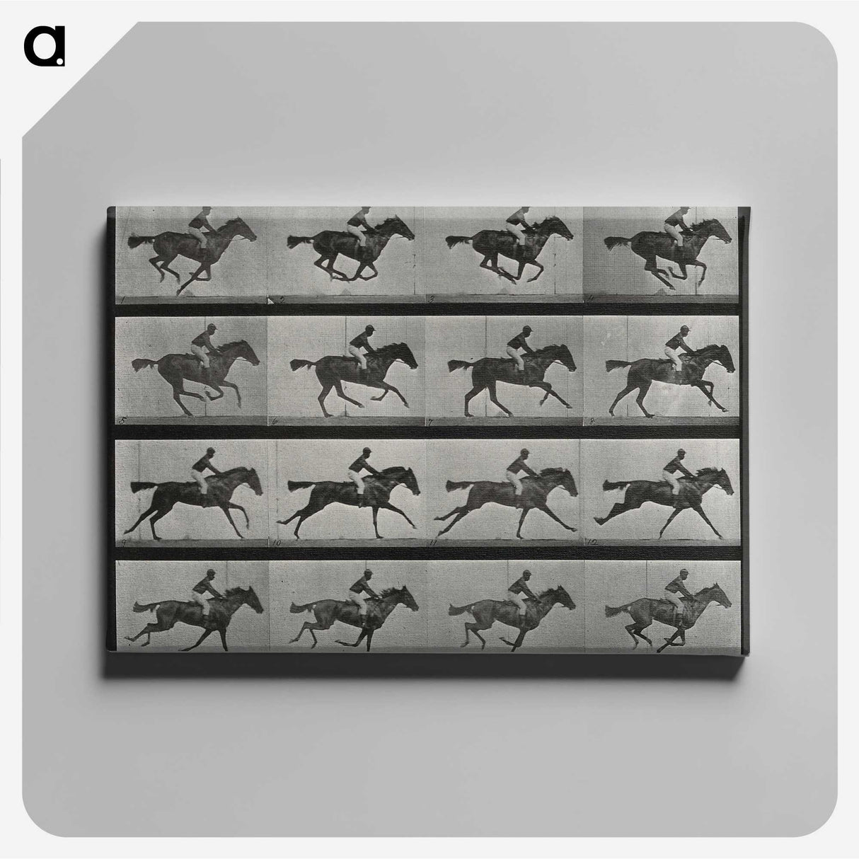 1-1_Eadweard-Muybridge_canvas