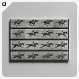 1-1_Eadweard-Muybridge_canvas