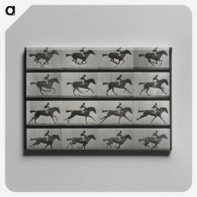 1-1_Eadweard-Muybridge_canvas