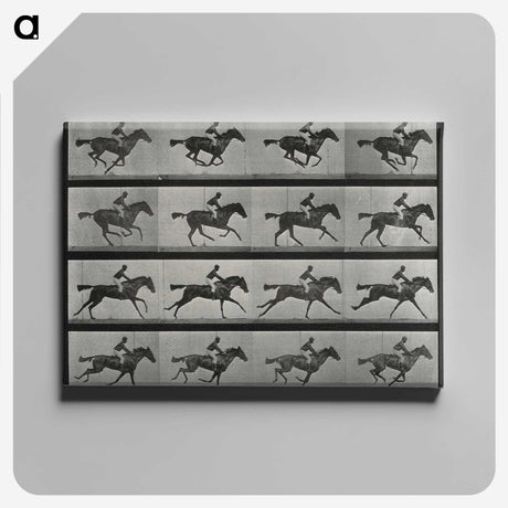 1-1_Eadweard-Muybridge_canvas