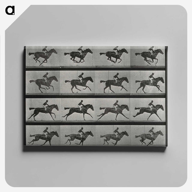 1-1_Eadweard-Muybridge_canvas