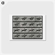 アートポストカード-Galloping Horse and Rider
 - エドワード マイブリッジ Postcard.