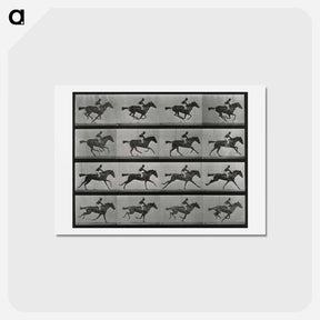 アートポストカード-Galloping Horse and Rider
 - エドワード マイブリッジ Postcard.