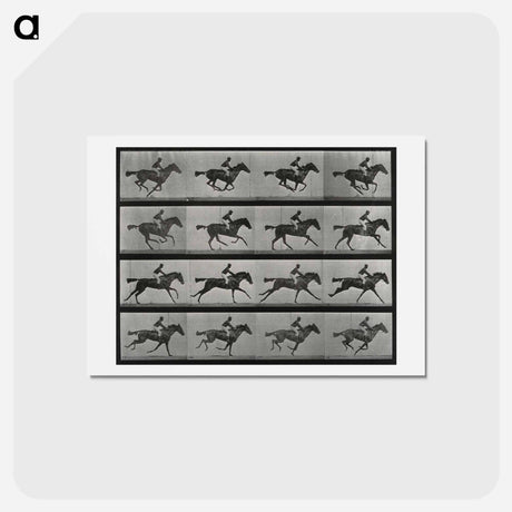 アートポストカード-Galloping Horse and Rider
 - エドワード マイブリッジ Postcard.