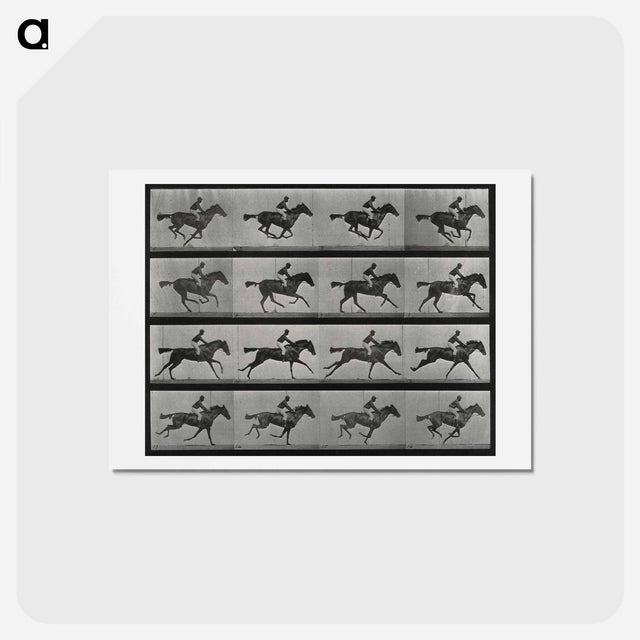 アートポストカード-Galloping Horse and Rider
 - エドワード マイブリッジ Postcard.
