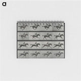 1-1_Eadweard-Muybridge_memo