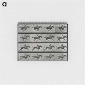 1-1_Eadweard-Muybridge_memo