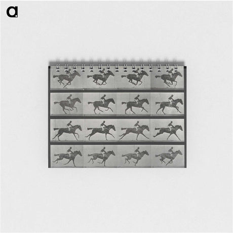 1-1_Eadweard-Muybridge_memo