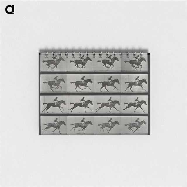 1-1_Eadweard-Muybridge_memo