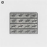 アートメモ帳-Galloping Horse and Rider
 - エドワード マイブリッジ Memo.