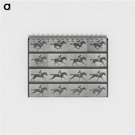 アートメモ帳-Galloping Horse and Rider
 - エドワード マイブリッジ Memo.