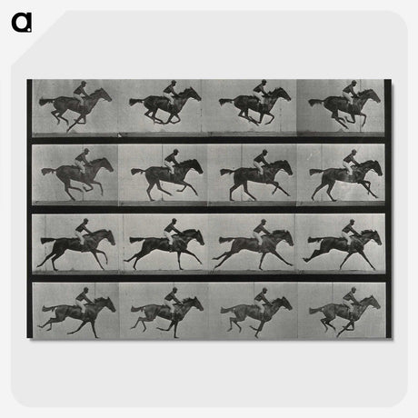 1-1_Eadweard-Muybridge_picture-crop