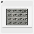 1-1_Eadweard-Muybridge_picture