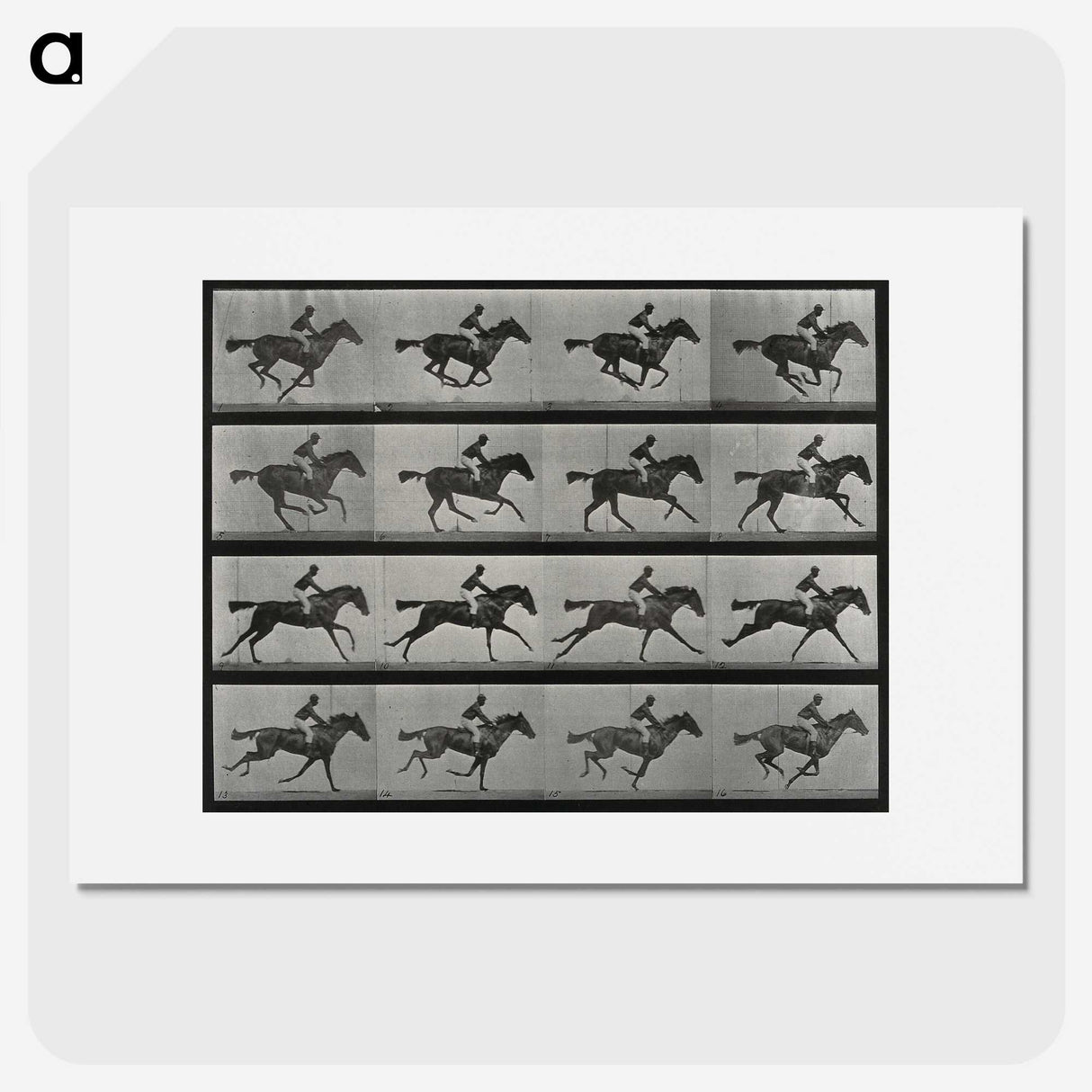 1-1_Eadweard-Muybridge_picture