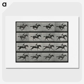 1-1_Eadweard-Muybridge_picture